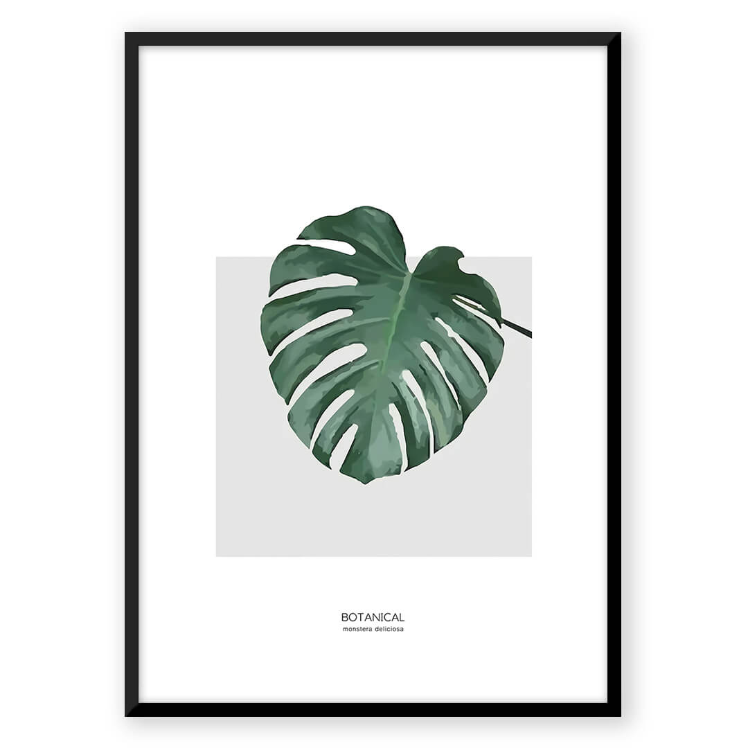 Botanical Monstera leaf art print B_7e4fbde4