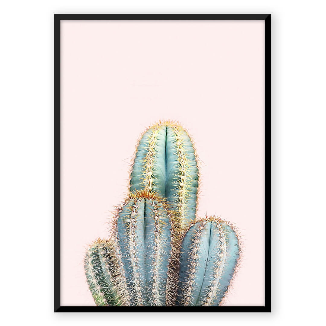 Cactus art print on pink background