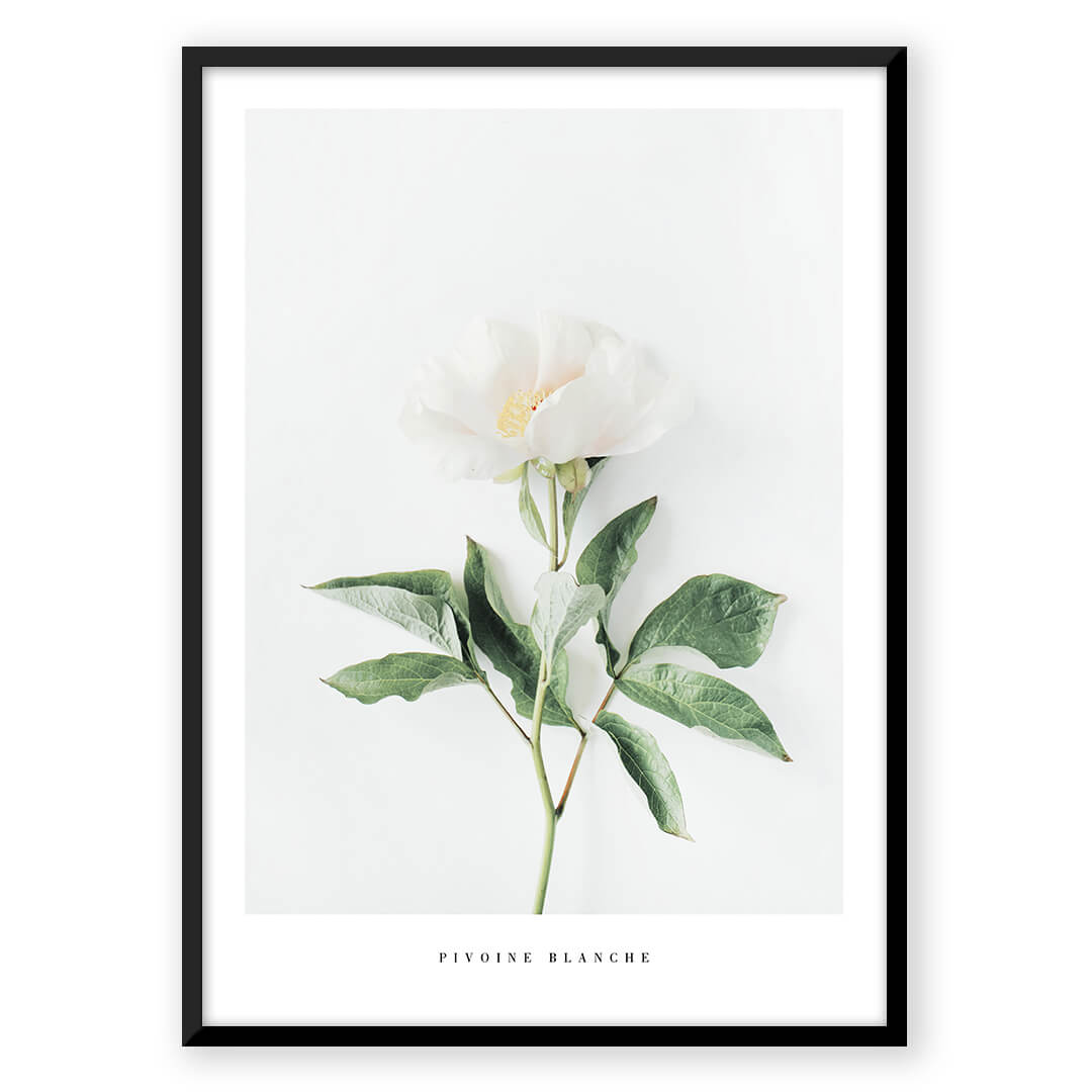 Flower & Feather Quote - Nordic Peace