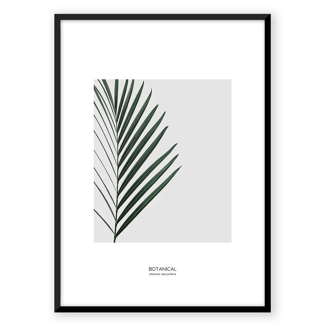 Botanical print with palm leaf on gray background