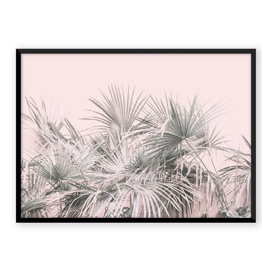 Coconut Paradise - Nordic Peace