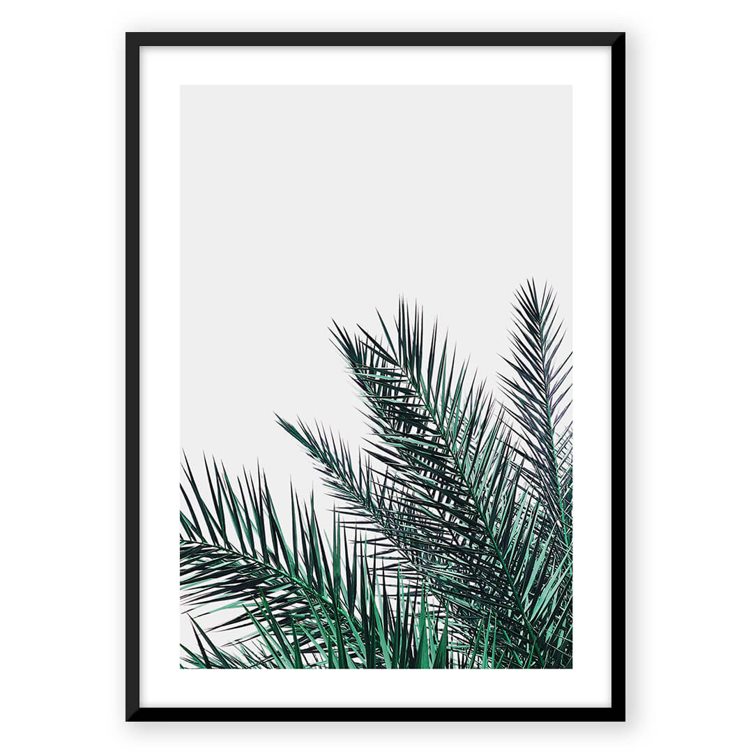 Palm frond art print.