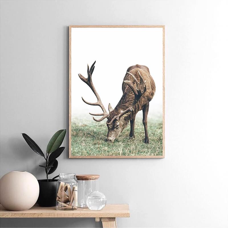 Deer grazing in wood ring landscape poster