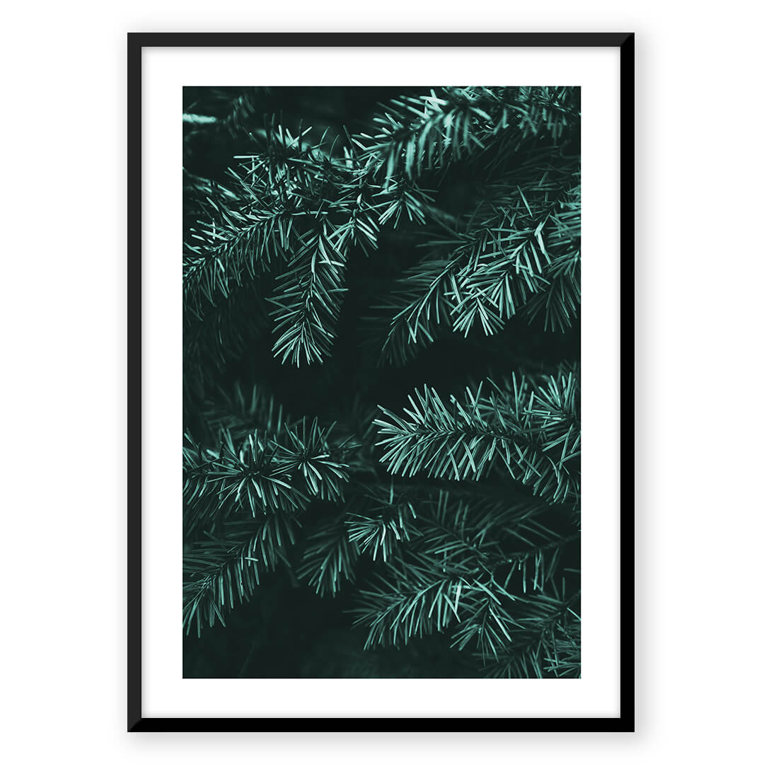 Framed pine needles art print.
