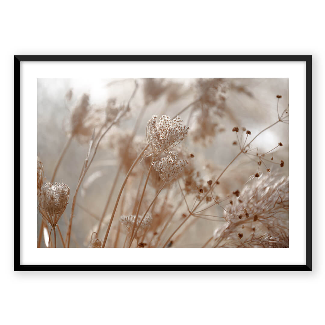 Dried flowers framed art print