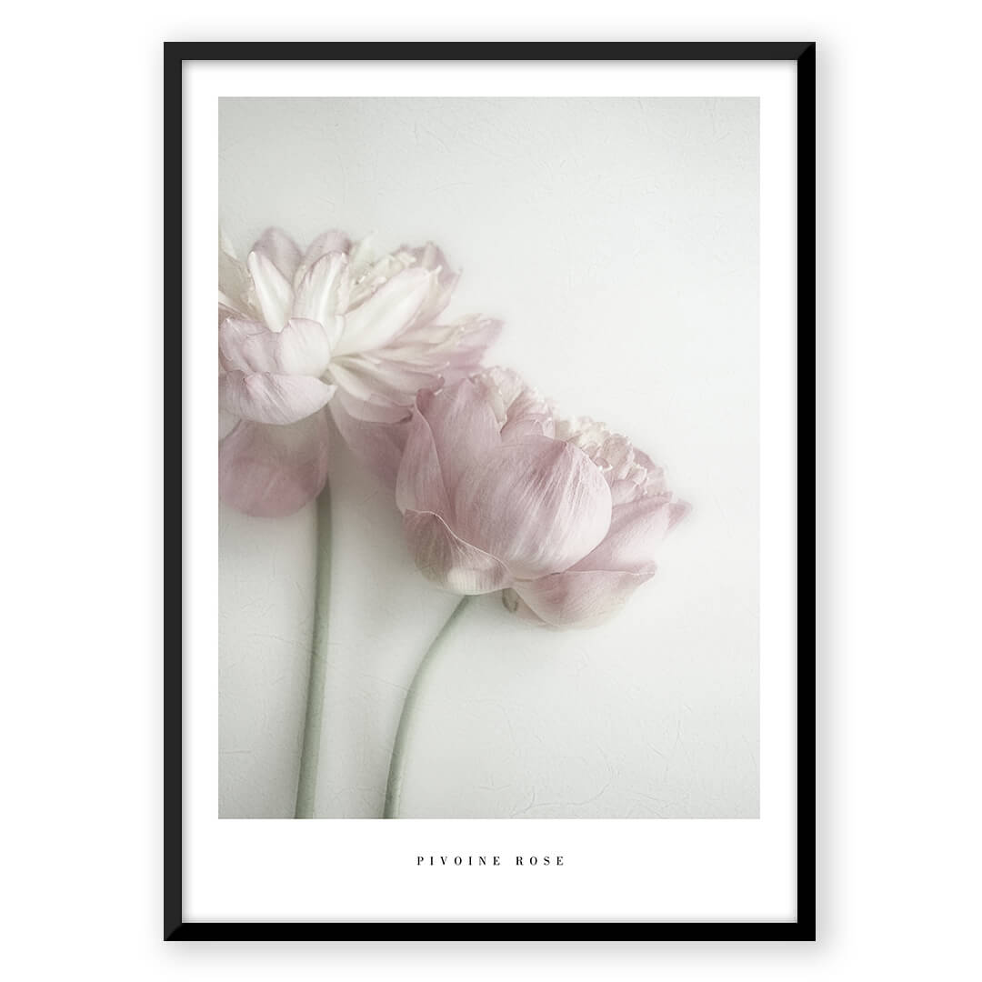 Flower & Feather Quote - Nordic Peace