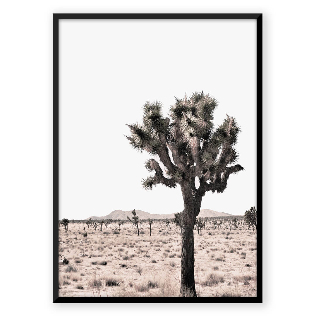 Desert Ocean - Nordic Peace