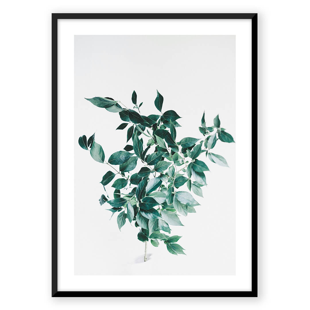 Green leaves in black frame art print