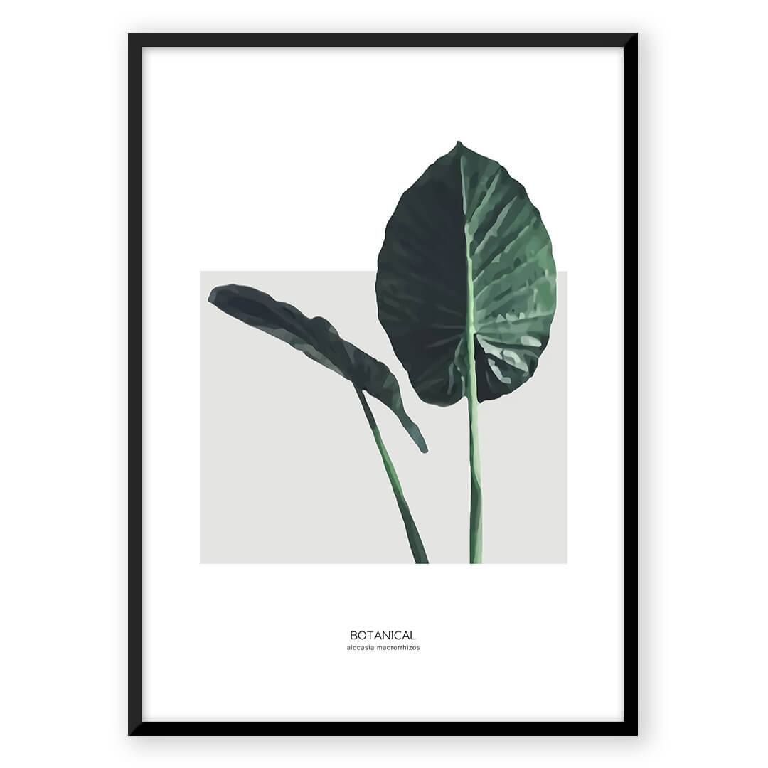 Botanical print with large green leaves