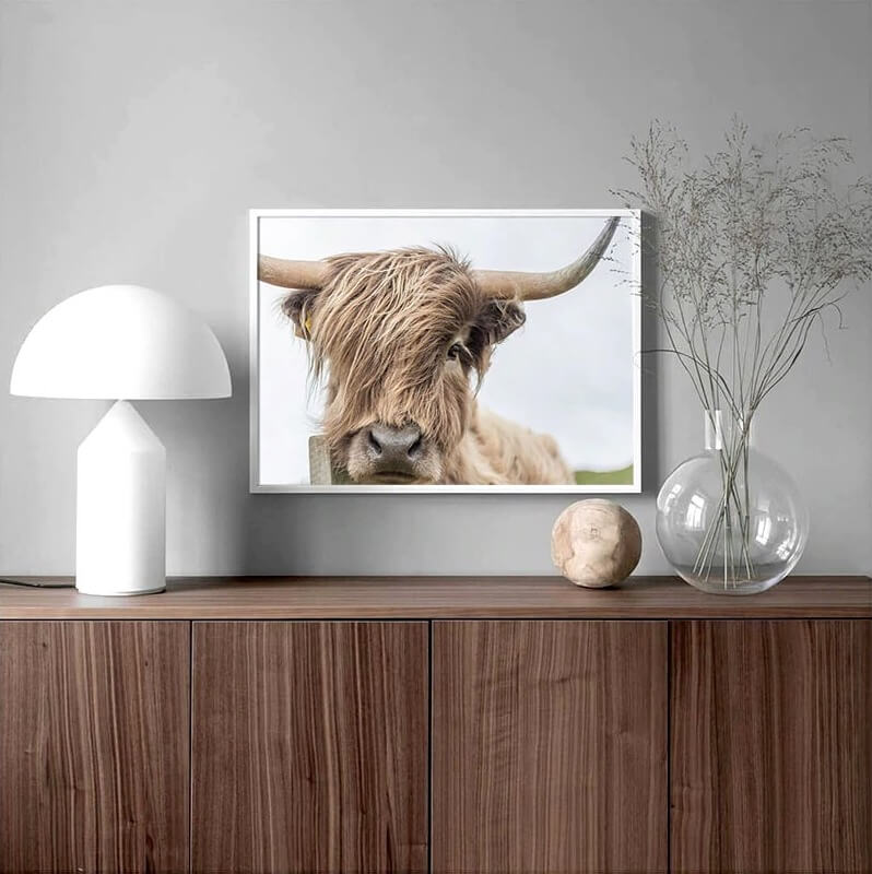 Canvas print of Highland cow on coastal landscape