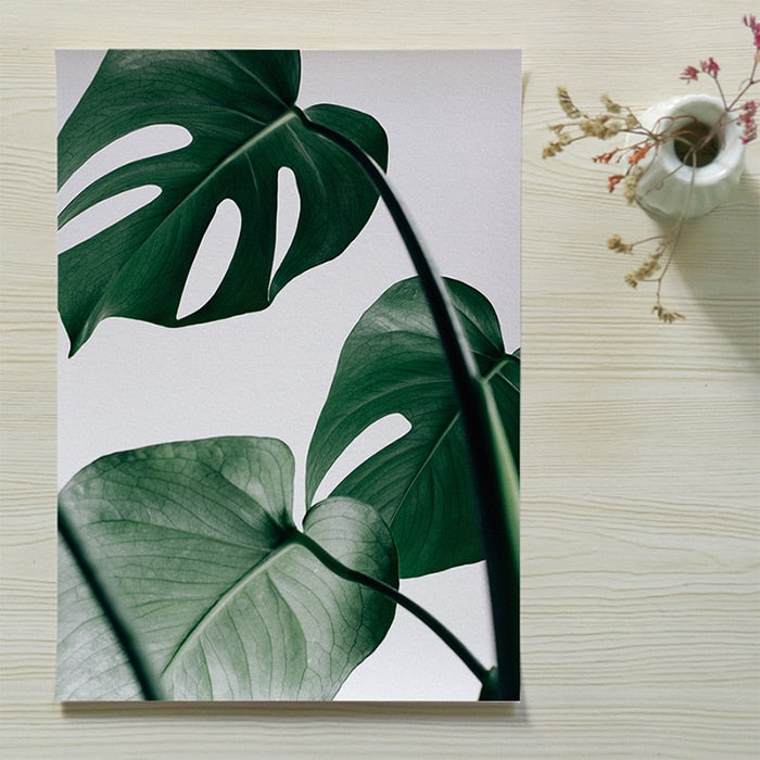 Floral Therapy - Nordic Peace